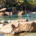 Exploring Orlando Beyond Disney: A Guide to the City's Best Attractions