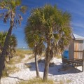 The Best Cities to Visit in Florida